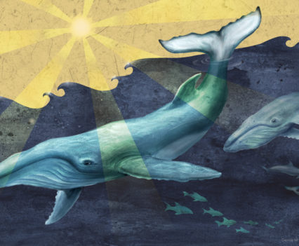 humpback whale art Denise M Cassano