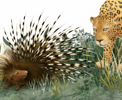 porcupine-leopard-Denise-Cassano-art
